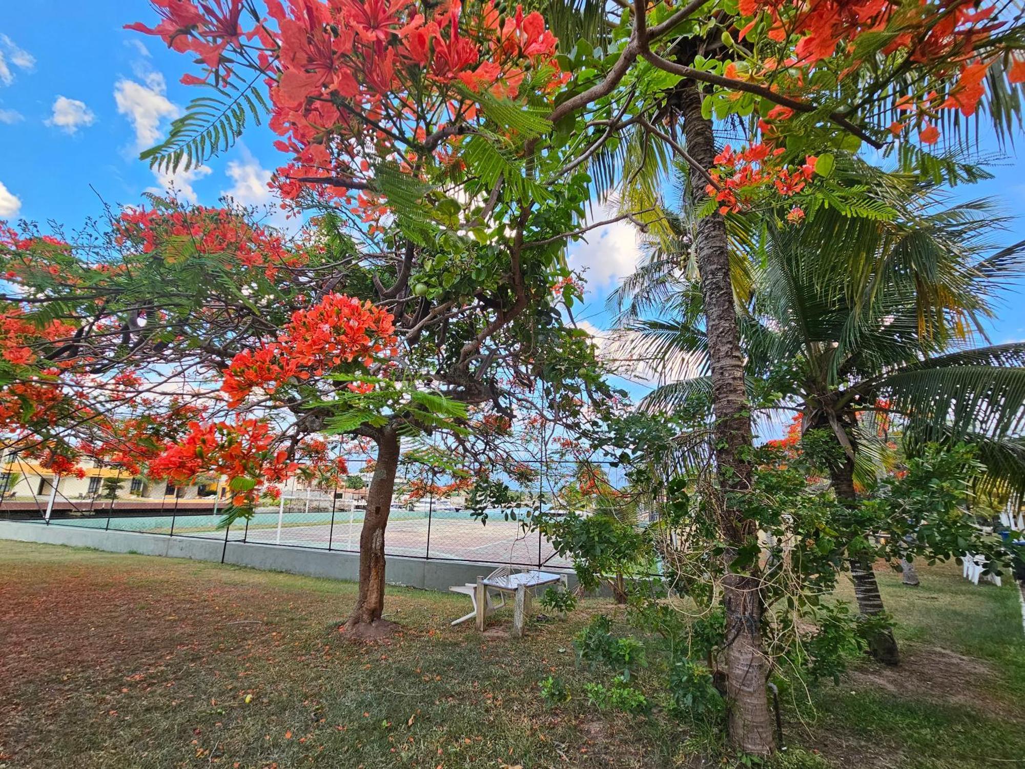 Condominio Cabo Frio Esterno foto